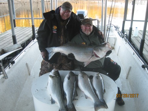Nice Striped Bass